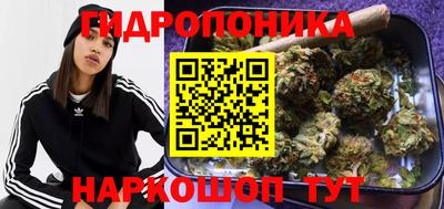 apvp Будённовск