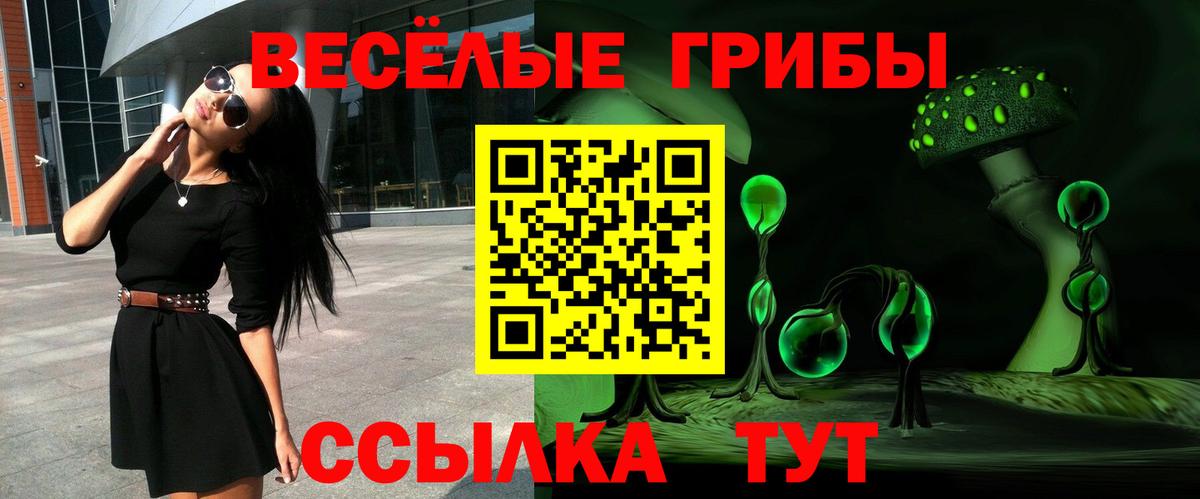 Псилоцибиновые грибы Psilocybine cubensis Обнинск