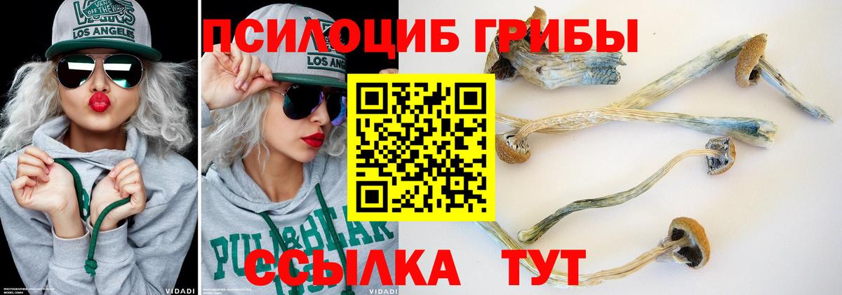 Псилоцибиновые грибы GOLDEN TEACHER  Вход с VPN  Обнинск 
